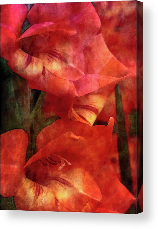 Impressionist Acrylic Print featuring the photograph Orange Gladiolus 4252 IDP_2 by Steven Ward