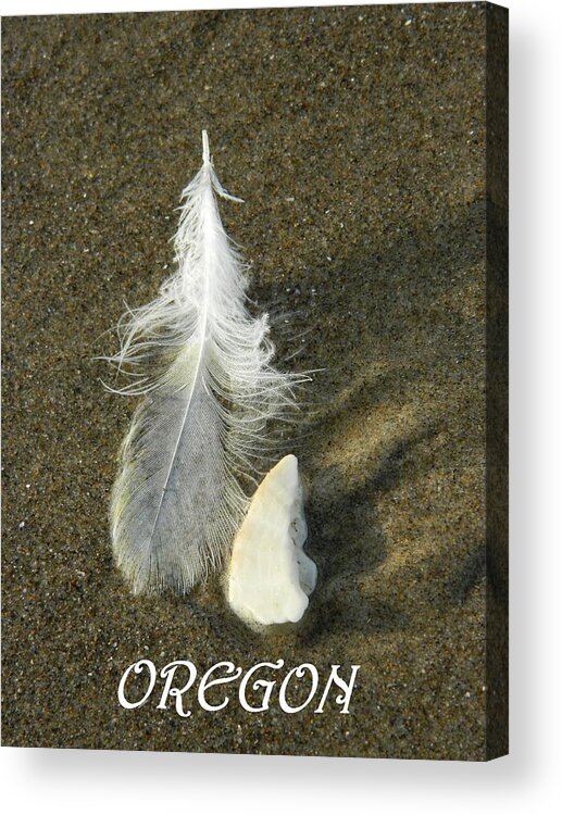 Feathers Acrylic Print featuring the photograph Oregon Feather by Gallery Of Hope 