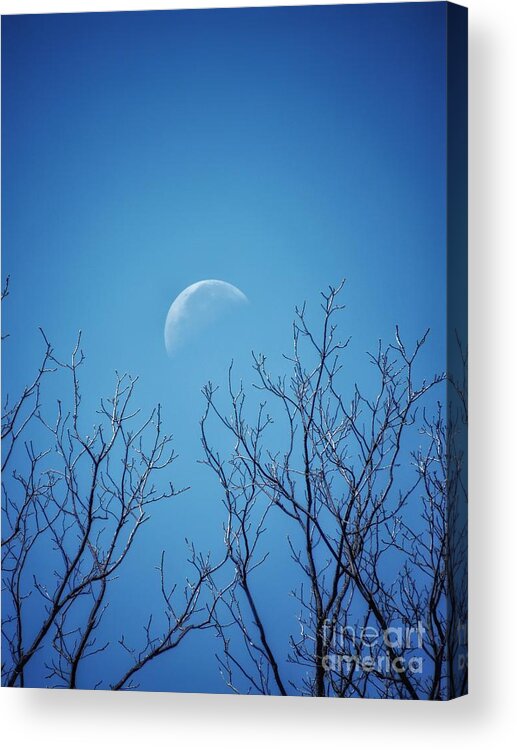 Moon Acrylic Print featuring the photograph Pale Moon Rising by Diana Rajala