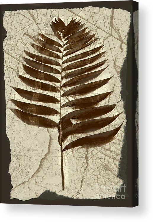 Photograph Acrylic Print featuring the digital art Palm Fossil Sandstone by Delynn Addams