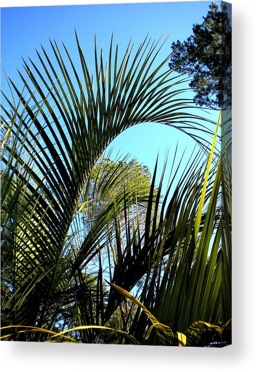 Palms Acrylic Print featuring the painting Palmetto 2 by Renate Wesley