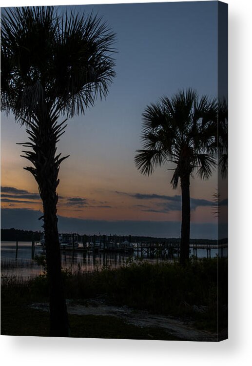 Sunset Acrylic Print featuring the photograph Palmetto Sky by Dale Powell