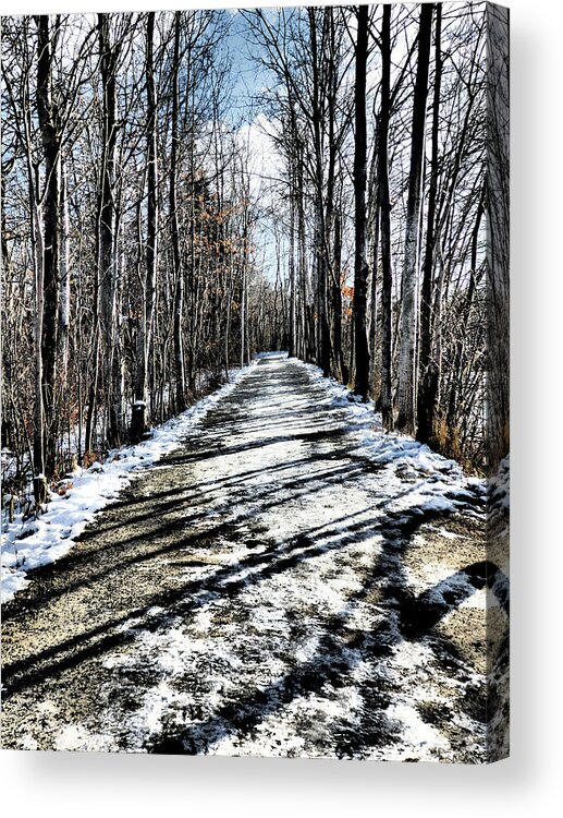 Path Acrylic Print featuring the photograph Path in Winter by Celtic Artist Angela Dawn MacKay