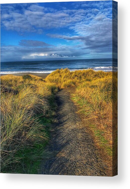 Landscape Acrylic Print featuring the photograph Path to the Beach by Bonnie Bruno