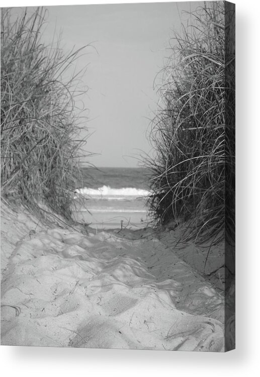 Sand Acrylic Print featuring the photograph Path to the beach by WaLdEmAr BoRrErO