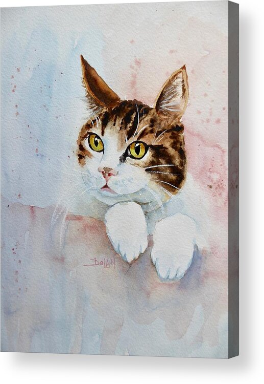 Watercolor Acrylic Print featuring the painting Paws by Pat Dolan