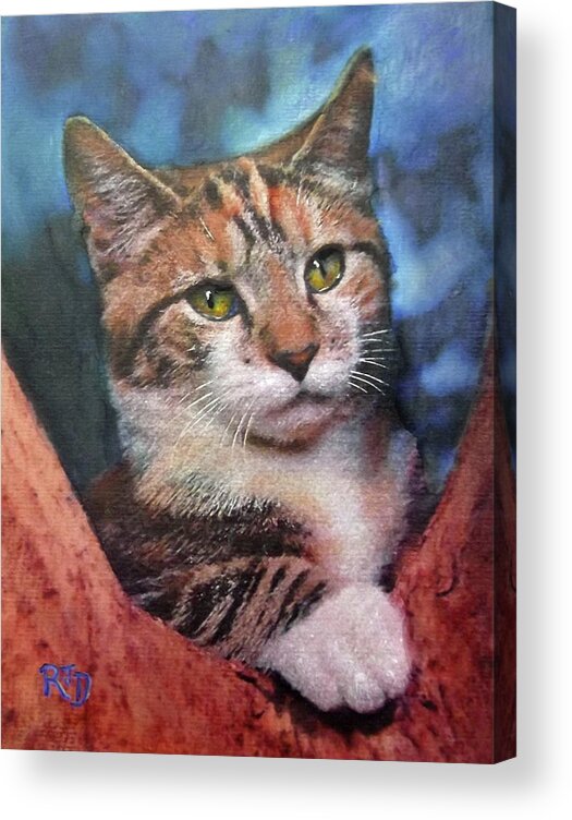 Cat Acrylic Print featuring the painting Peekaboo Tabby by Richard James Digance
