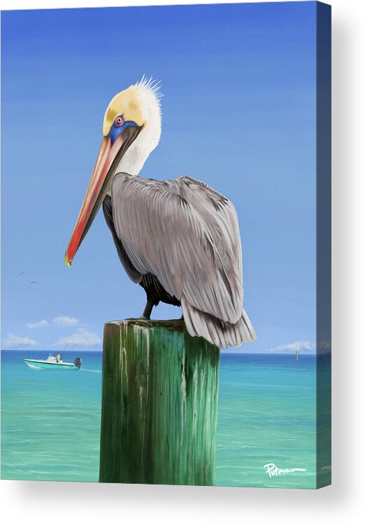 Pelican Acrylic Print featuring the digital art Pelicans Post by Kevin Putman