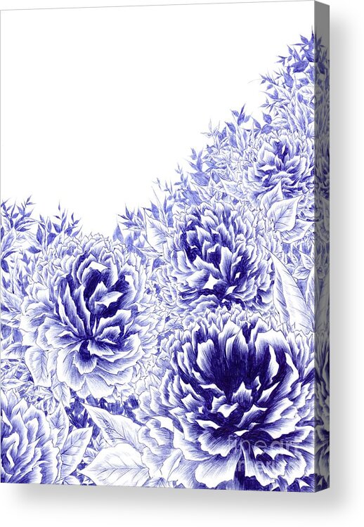 Peony Acrylic Print featuring the drawing Peony Dream by Alice Chen