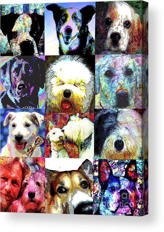 Pet Portraits Acrylic Print featuring the painting Pet Portraits by Alene Sirott-Cope