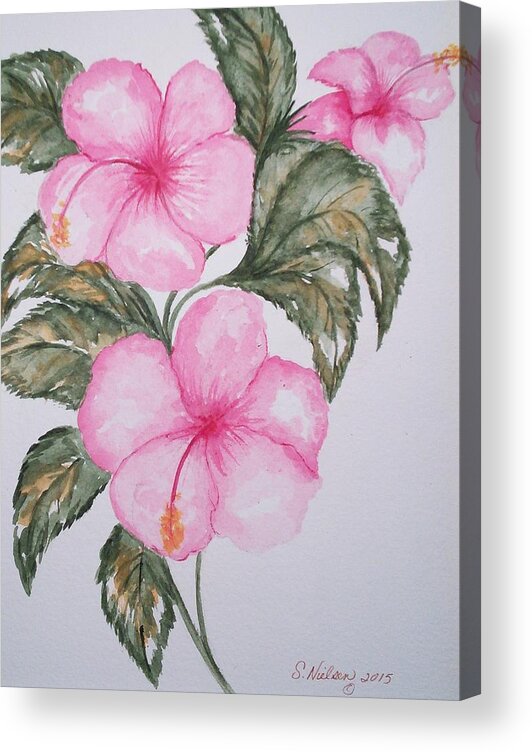 Hibiscus Acrylic Print featuring the painting Pink Hibiscus by Susan Nielsen