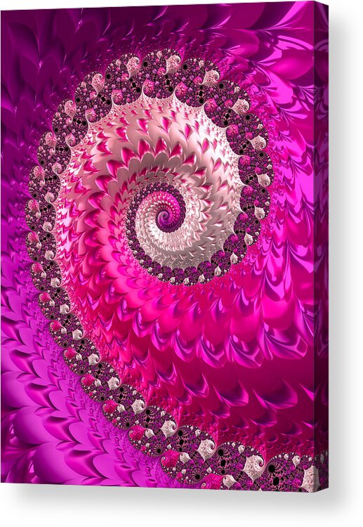 Spiral Acrylic Print featuring the digital art Pink purple and red luxe girly spiral by Matthias Hauser