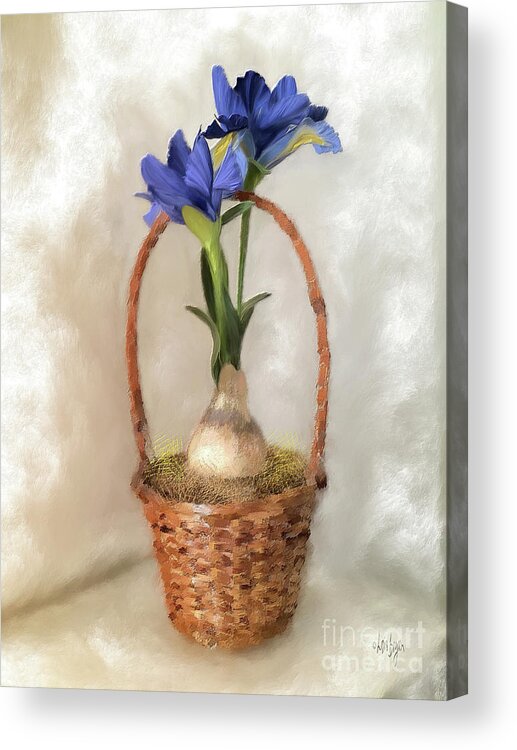 Iris Acrylic Print featuring the digital art Plain Blue Iris by Lois Bryan