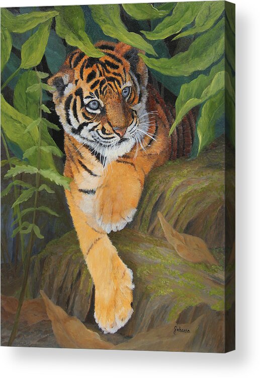 Tiger Acrylic Print featuring the painting Playful Tiger - Sumatran Tiger Cub by Johanna Lerwick