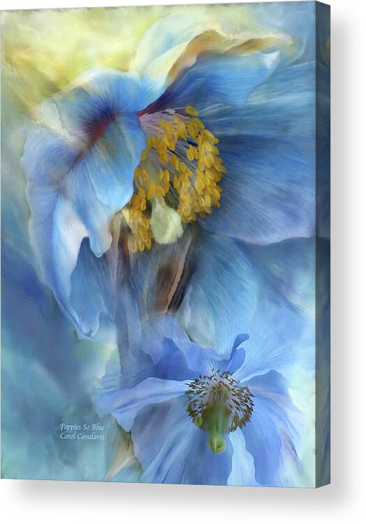 Poppy Acrylic Print featuring the mixed media Poppies So Blue by Carol Cavalaris