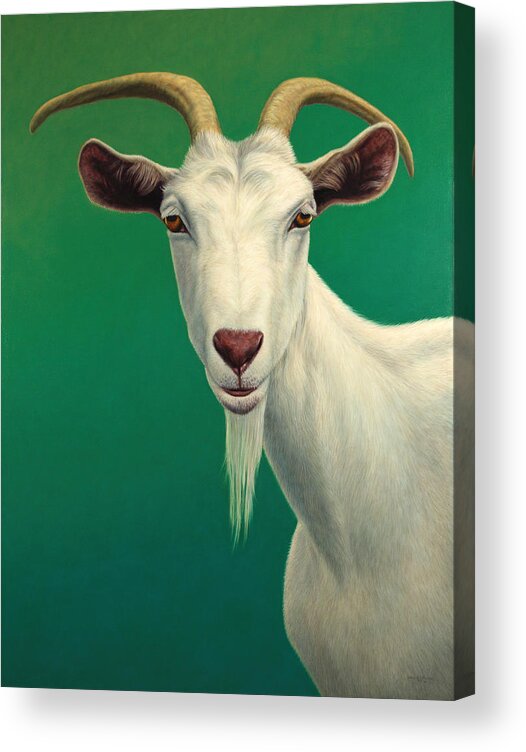 Goat Acrylic Print featuring the painting Portrait of a Goat by James W Johnson