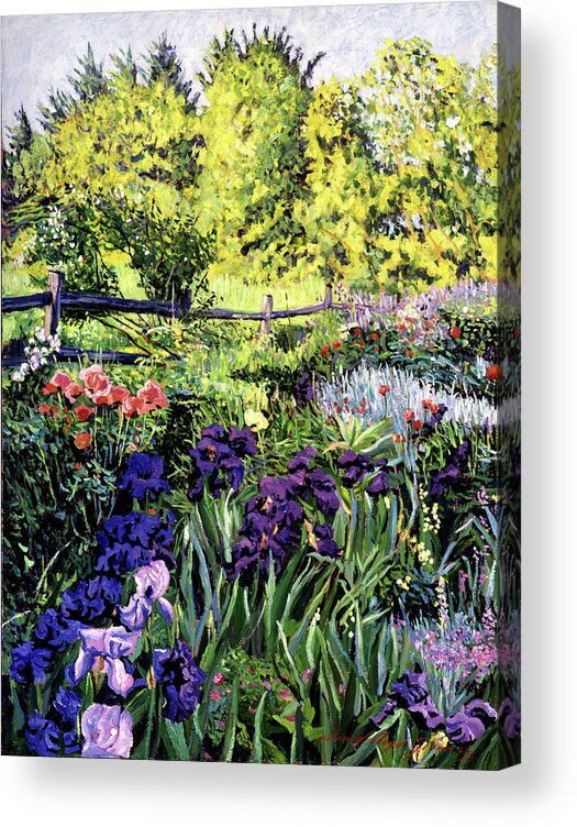 Irises Acrylic Print featuring the painting Purple Garden by David Lloyd Glover