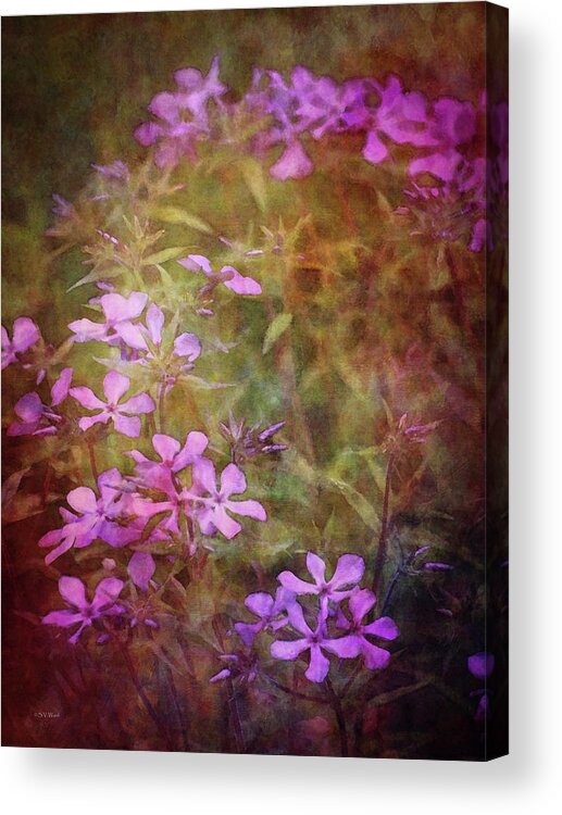 Impression Acrylic Print featuring the photograph Purple Stars 0249 IDP_2 by Steven Ward