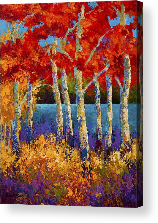 Birch Acrylic Print featuring the painting Red Birches by Marion Rose