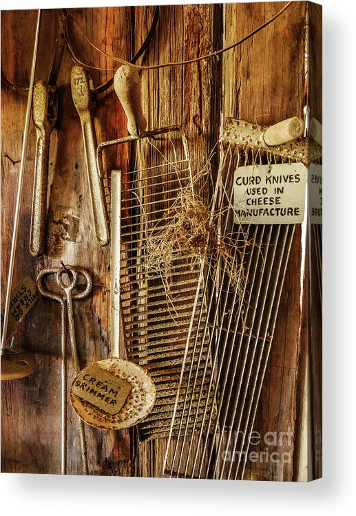 Relics From Rural Australia Series Images By Lexa Harpell Acrylic Print featuring the photograph Retired Cheese Making Equipment by Lexa Harpell