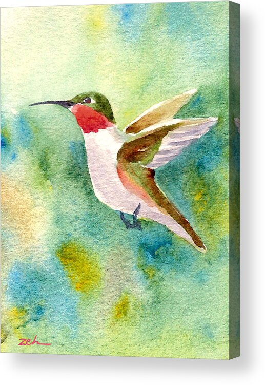 Hummingbird Art Acrylic Print featuring the painting Ruby-throated Hummingbird by Janet Zeh