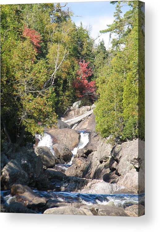 Waterfall Acrylic Print featuring the photograph Running Through The Woods by Kelly Mezzapelle