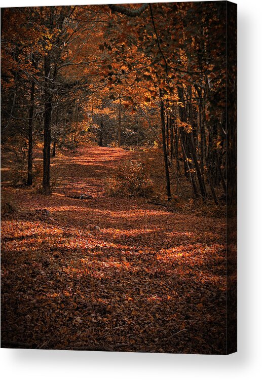 Autumn Acrylic Print featuring the photograph Rustling Pathway by Gary Blackman