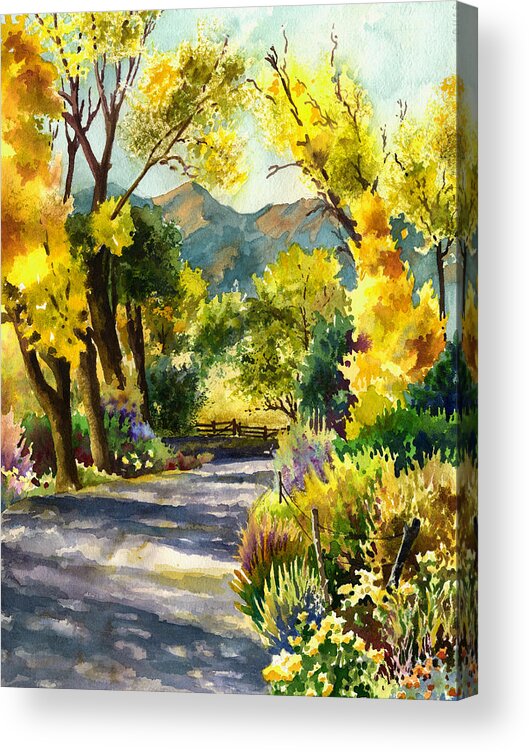 Salida Colorado Painting Acrylic Print featuring the painting Salida Country Road by Anne Gifford