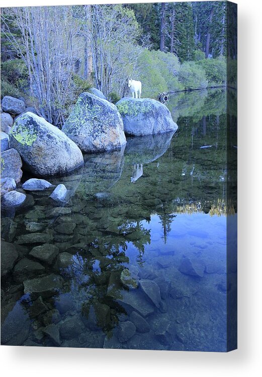Waterscape Acrylic Print featuring the photograph Sekani Dawn by Sean Sarsfield