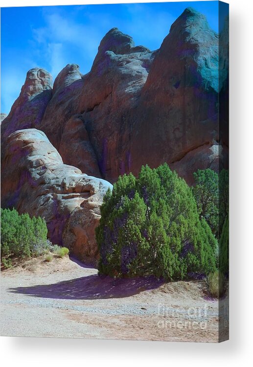 The Devil's Garden Acrylic Print featuring the digital art Shade becomes precious by Annie Gibbons