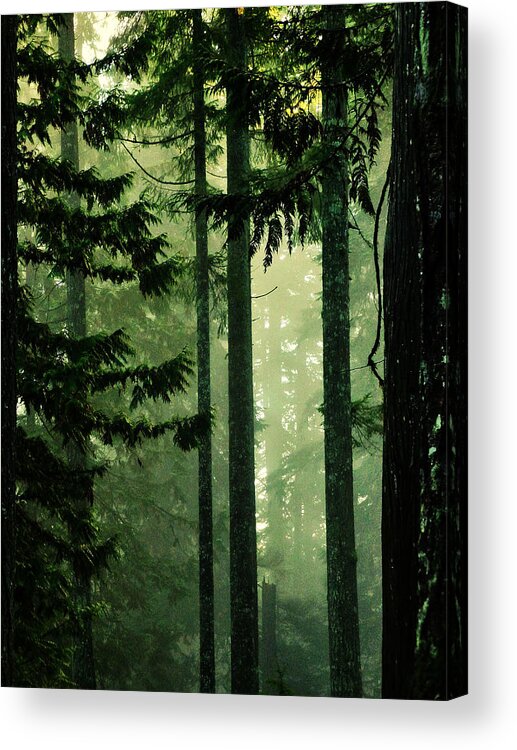 Connie Handscomb Acrylic Print featuring the photograph Shadows Of Light by Connie Handscomb