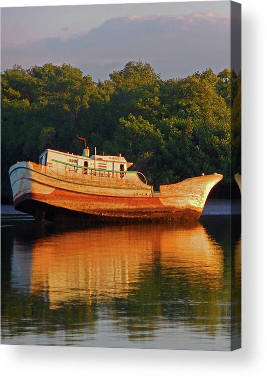Puntarenas Acrylic Print featuring the photograph Shipwreck 2 by Ron Kandt