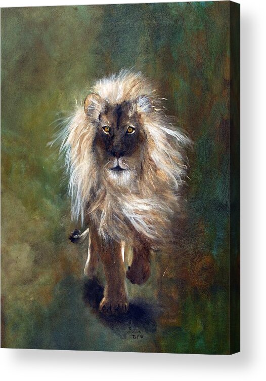 Lion Acrylic Print featuring the painting Shombay the Lion by Barbie Batson