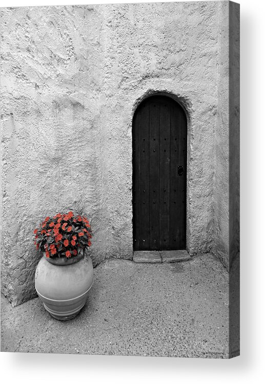 Simplicity 2 Acrylic Print featuring the photograph Simplicity 2 by Dark Whimsy