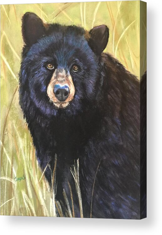 Bear Acrylic Print featuring the painting Sitting Bear by Joyce Spencer