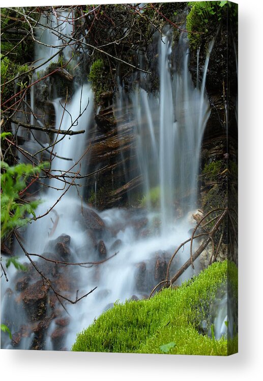 Water Acrylic Print featuring the photograph Small Falls by DeeLon Merritt