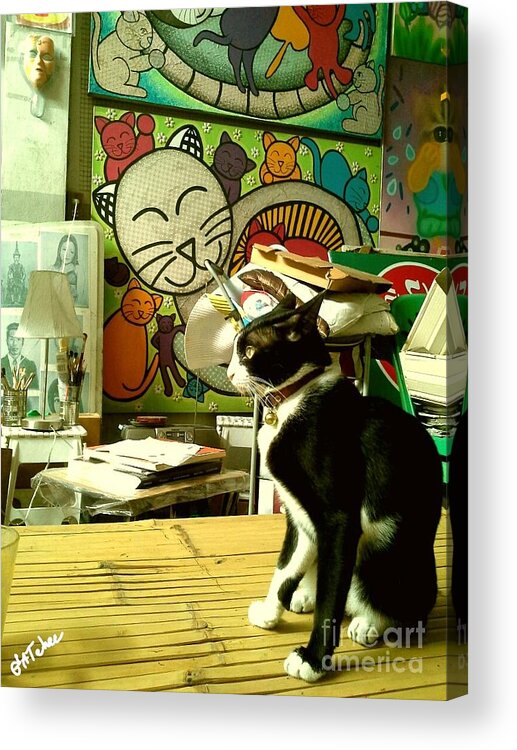 Cat Acrylic Print featuring the photograph Smell To Fight by Sukalya Chearanantana