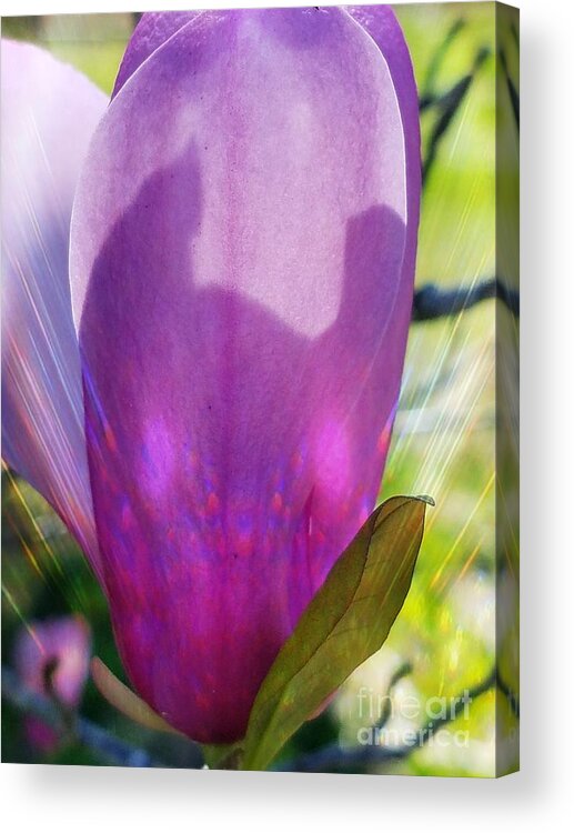 Spring Magic Acrylic Print featuring the photograph Spring Magic by Maria Urso