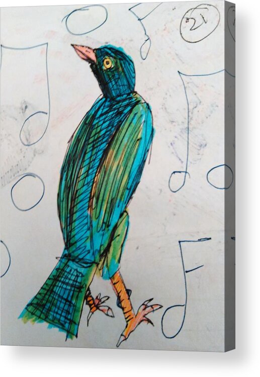 Starling Acrylic Print featuring the drawing Starling My Darling by Andrew Blitman