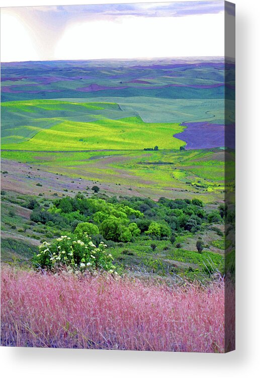 Landscape Acrylic Print featuring the photograph Steptoe Butte by Margaret Hood