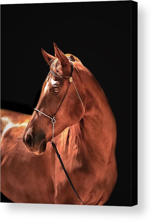 Sting's Ransom Acrylic Print featuring the photograph Sting's Ransom by CarolLMiller Photography