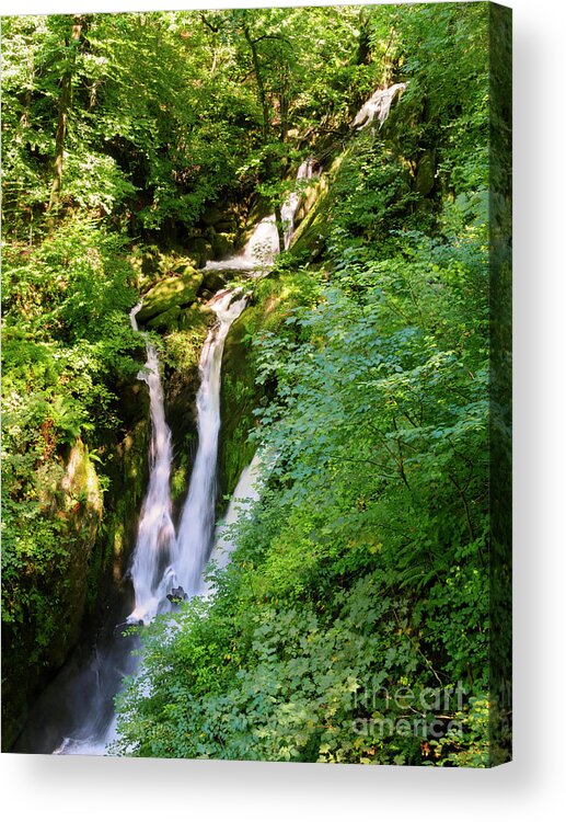 Stock Ghyll Force Acrylic Print featuring the photograph Stock Ghyll Force near Ambleside in the Lake District Cumbria by Louise Heusinkveld