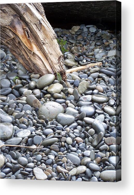 Stones Acrylic Print featuring the photograph Stones by Gene Ritchhart