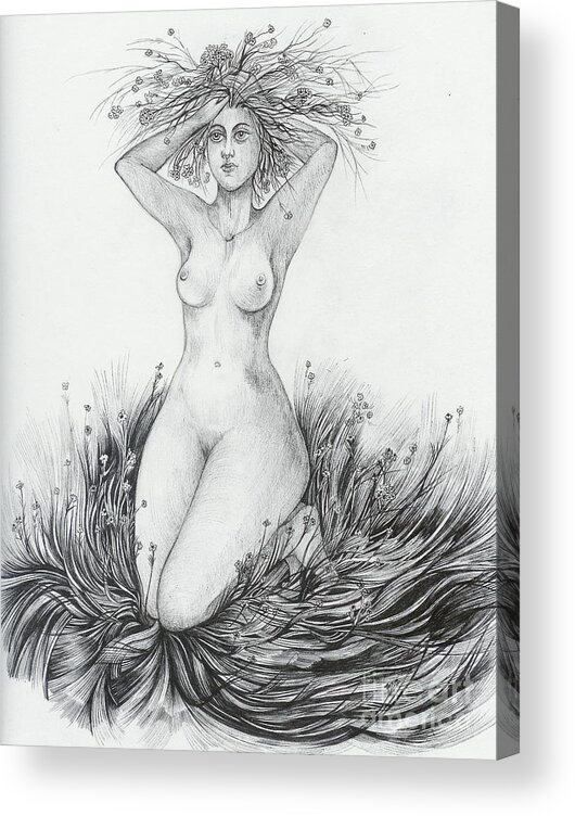 Nude Acrylic Print featuring the drawing Summer II by Anna Duyunova