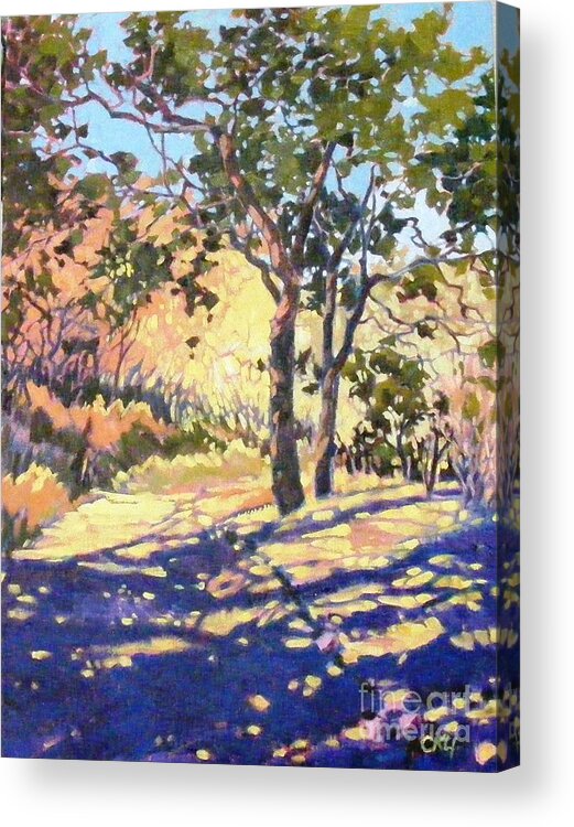 California Landscape Acrylic Print featuring the painting Summer shadow by Celine K Yong