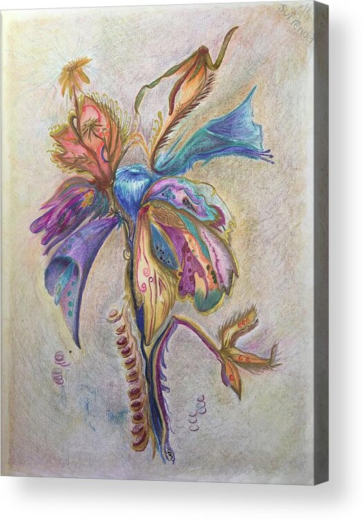 Plants Acrylic Print featuring the drawing Surrender by Suzanne Udell Levinger