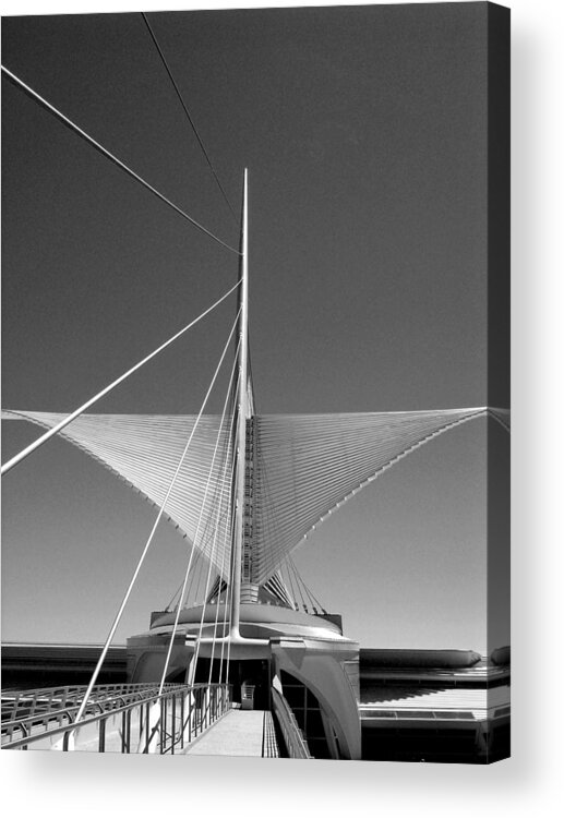 Entrance Acrylic Print featuring the photograph Taking Flight I by Steven Ainsworth