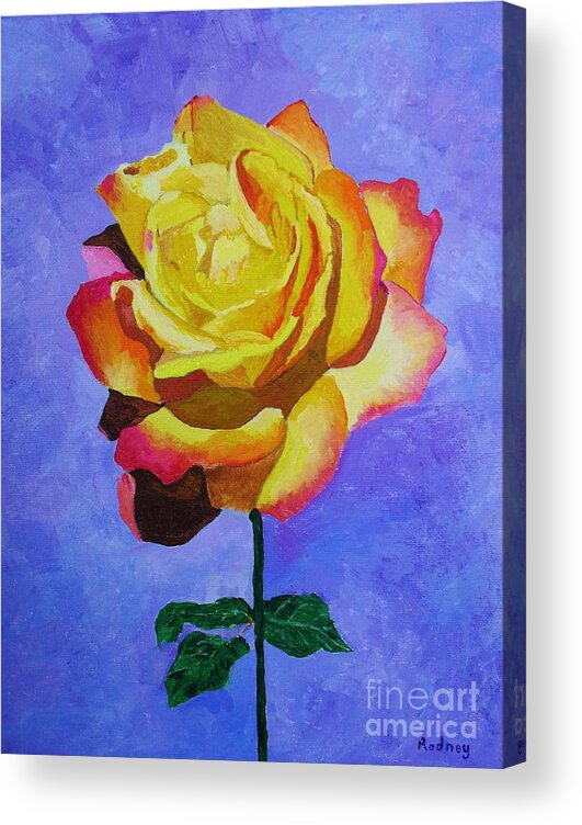 tea Rose Acrylic Print featuring the painting Tea Rose by Rodney Campbell