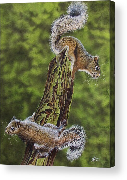 Squirrel Acrylic Print featuring the painting The Chase by Greg and Linda Halom
