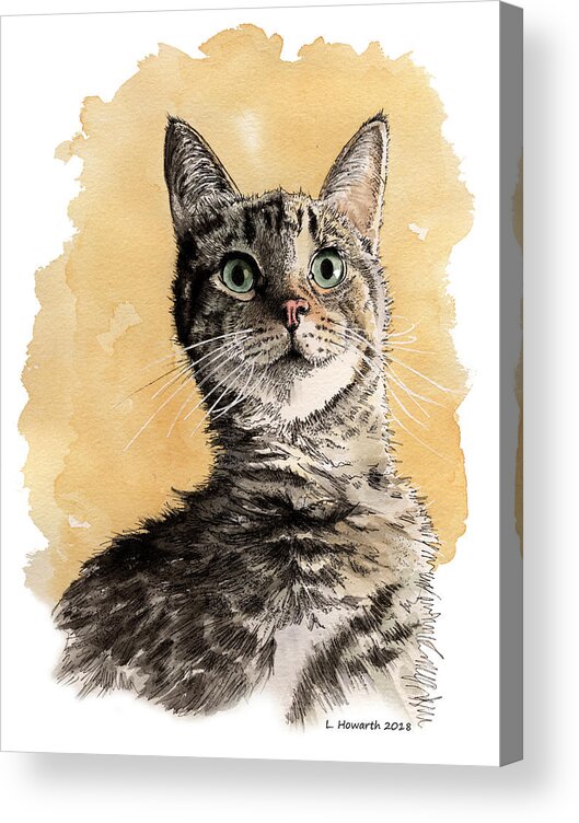 Cat Acrylic Print featuring the painting The Earl of Australia by Louise Howarth